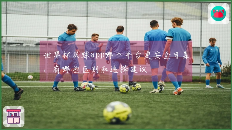 世界杯买球app哪个平台更安全可靠,有哪些区别和选择建议